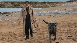 Mon Chien Stupide (2019)