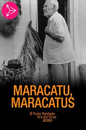 Maracatu, Maracatus 2