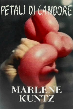 Poster Marlene Kuntz: Petali di Candore 1998