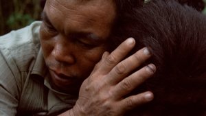 Uncle Boonmee Who Can Recall His Past Lives ระลึกชาติ (2010)