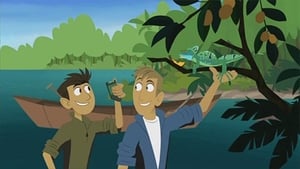 Wild Kratts Walk On the Wetside