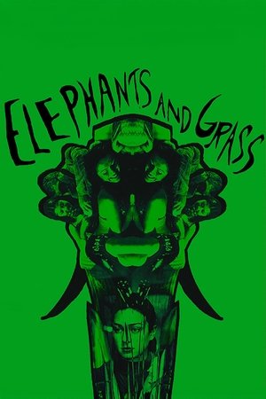 Image Elephants and Grass