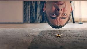 poster Man Vs Bee