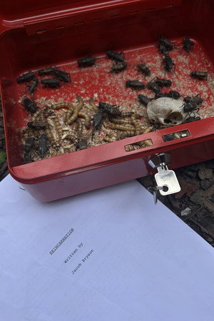 REINCARNATION (2026)