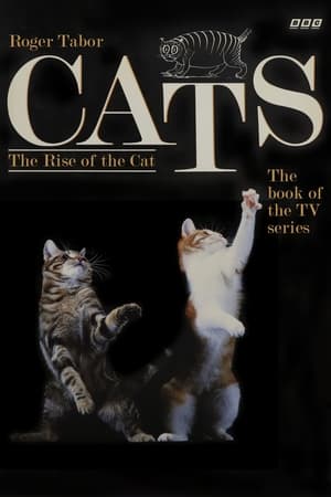 Poster Cats 1991