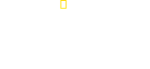 O Mundo dos Animais
