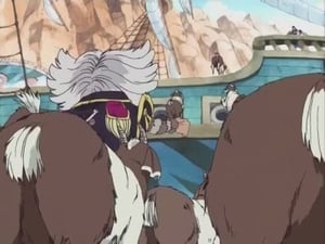 S05E138 Le trésor caché de l'île aux chèvres  ! L'équipage de Zeny le pirate à l'abordage !