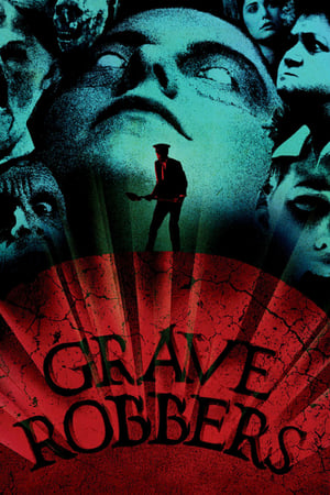 Poster Graverobbers 1988