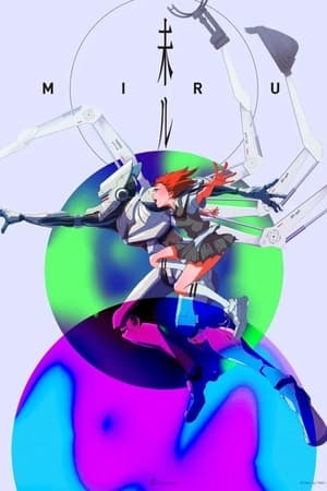 Poster MIRU ()