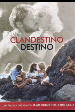 Clandestine Destiny 3