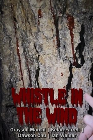 Poster Whistle in the Wind 2024