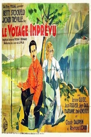 Le voyage imprévu poster