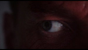 Dracula: The Night Around Us 31