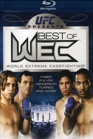 Poster WEC Greatest Knockouts 2008