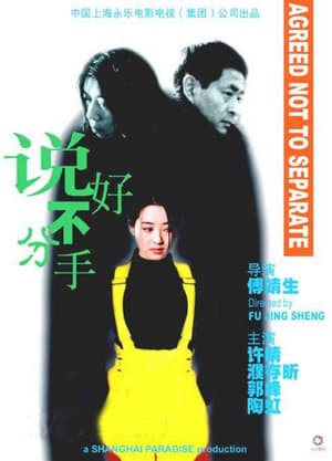 Poster Agreed Not to Separate (1999)
