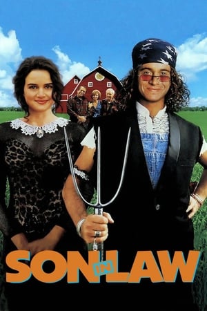 Poster Son in Law 1993
