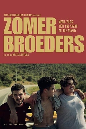 Poster Zomerbroeders (2018)