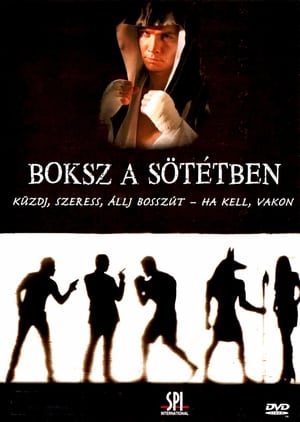 Poster Boksz a sötétben 2005