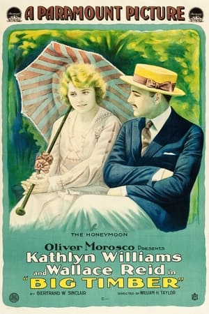 Poster Big Timber 1917