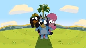 Bluey Season 1 Episode 5