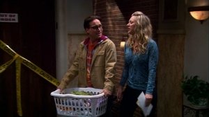 The Big Bang Theory 5 x Episodio 22