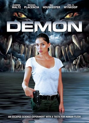 Poster Demon (2013)