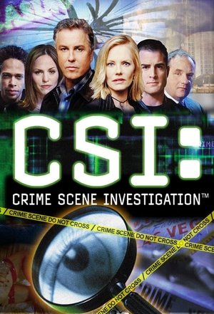 Poster CSI - Den Tätern auf der Spur Staffel 15 Schweigen ist Silber 2015