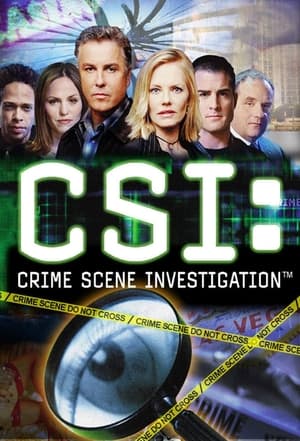 Image CSI - Den Tätern auf der Spur