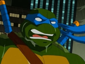 Teenage Mutant Ninja Turtles: 1×17