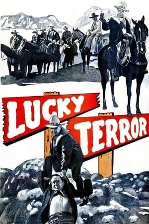 Poster Lucky Terror (1936)