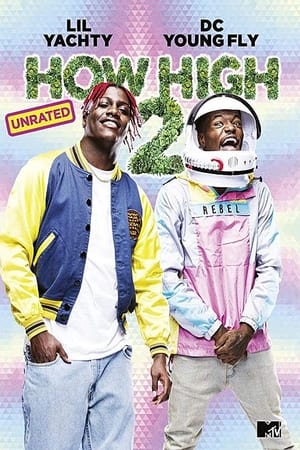 Poster How High 2 2019