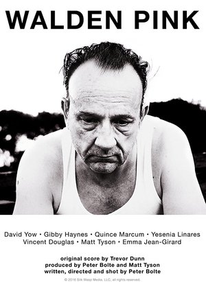 Poster Walden Pink 2016