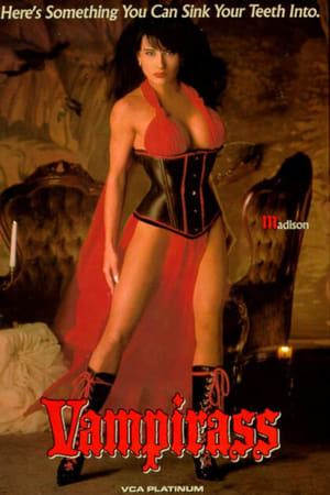Poster Vampirass (1993)