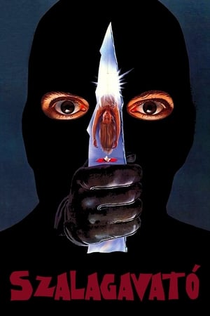 Poster A szalagavató fantomja 1980