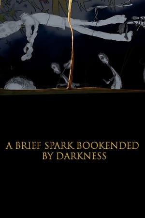 Image A Brief Spark Bookended by Darkness