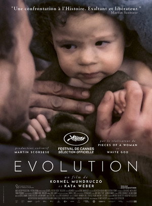 Evolution 14