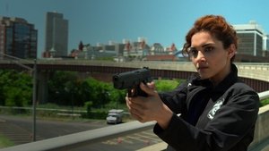 Marvel’s The Punisher ( 2017 )