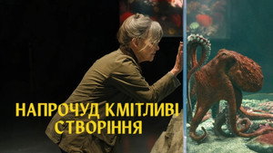 Images posters