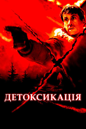 Poster Детоксикація 2002