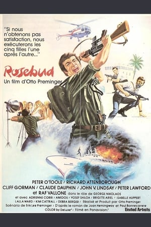 Poster Rosebud 1975