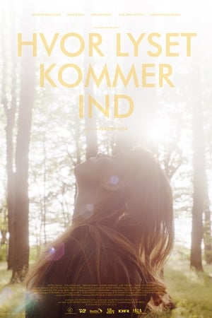 Poster Hvor lyset kommer ind 2013