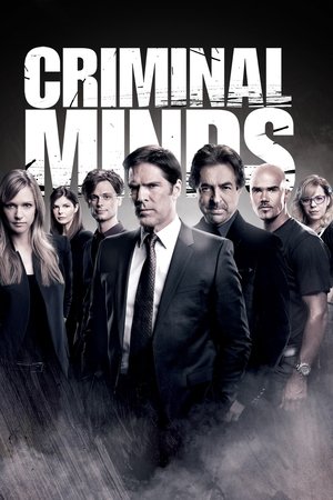 poster Criminal Minds