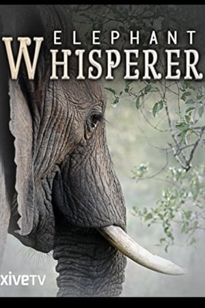 Image Elephant Whisperer