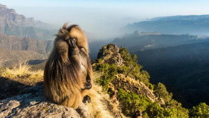 Le royaume des nuages