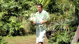 50 First Dates (2004)