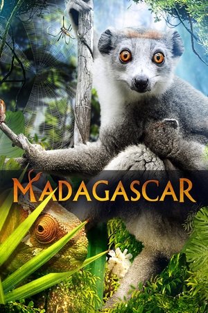 Poster Madagascar 3D (2013)