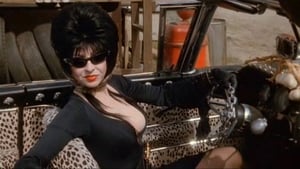 Elvira reina de las tinieblas (1988) | Elvira Mistress of the Dark