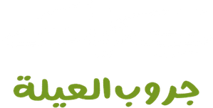 Family Group Stories