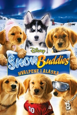 Poster Snow Buddies: Hvalpene i Alaska 2008