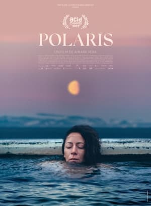 Poster Polaris 2023